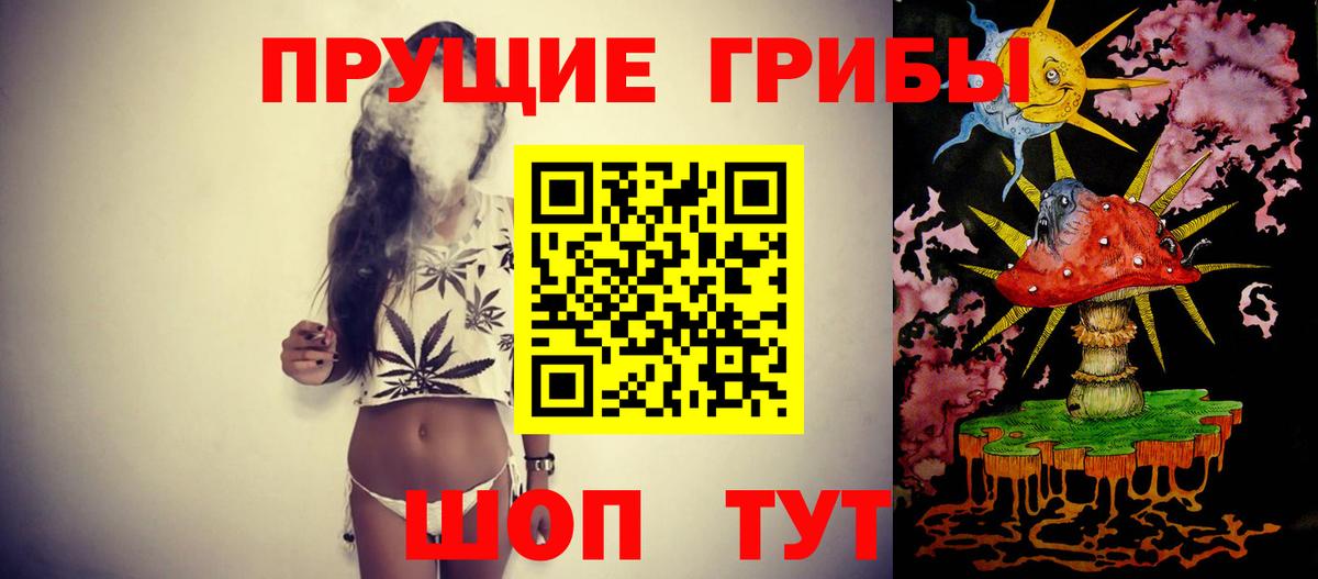 Качканар  Псилоцибиновые грибы Psilocybine cubensis  Вход с VPN 