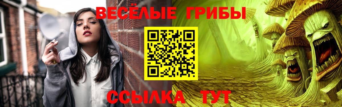 COCAIN Качканар