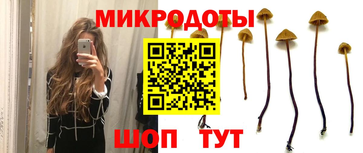 Псилоцибиновые грибы GOLDEN TEACHER Качканар